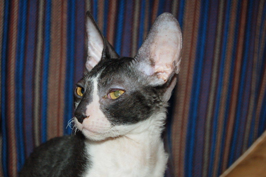 DSC_2406.JPG
